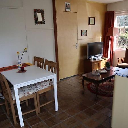 Basic Natuurhuisje Ommen/Beerze Villa Екстериор снимка