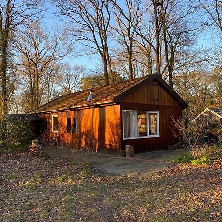 Basic Natuurhuisje Ommen/Beerze Villa Екстериор снимка
