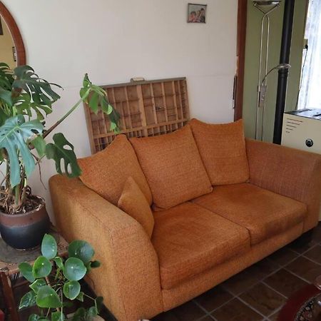 Basic Natuurhuisje Ommen/Beerze Villa Екстериор снимка