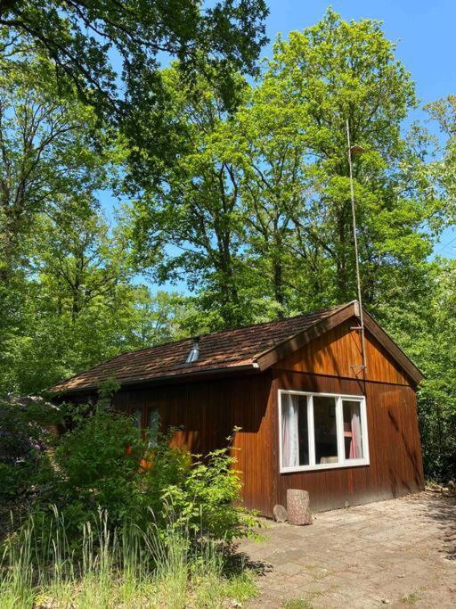 Basic Natuurhuisje Ommen/Beerze Villa Екстериор снимка