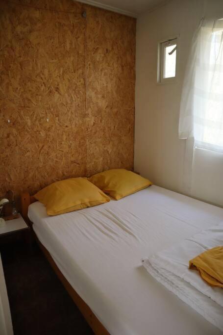 Basic Natuurhuisje Ommen/Beerze Villa Екстериор снимка