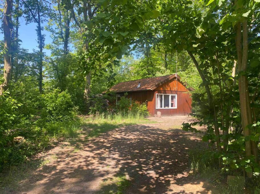 Basic Natuurhuisje Ommen/Beerze Villa Екстериор снимка