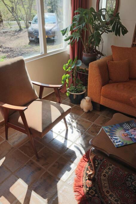 Basic Natuurhuisje Ommen/Beerze Villa Екстериор снимка